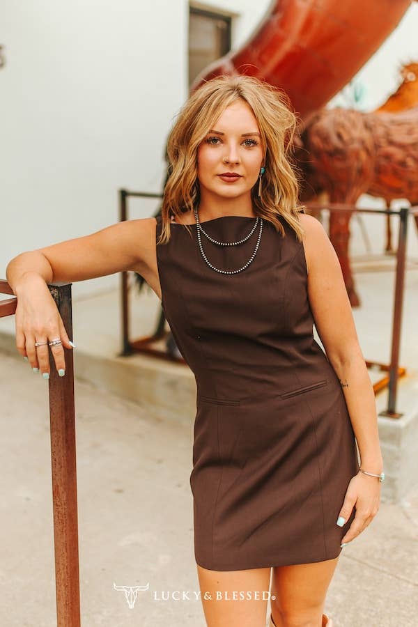 Dark Brown Boat Neck Luxury Feel Everyday Dress